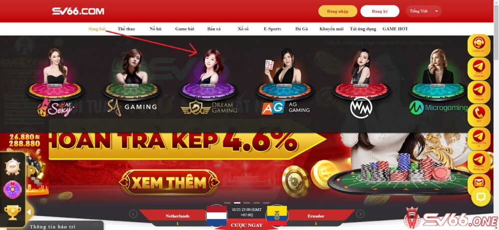 Hướng dẫn chơi cá cược tại sảnh Dreamgaming ở nhà cái SV66 cho tân thủ 