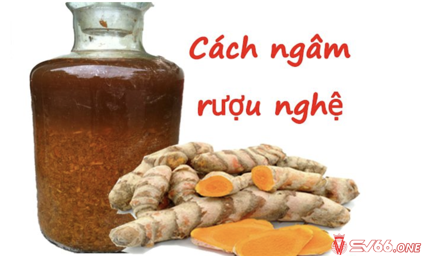 Cách làm rượu nghệ bóp gà đá khá đơn giản và dễ dàng thực hiện 