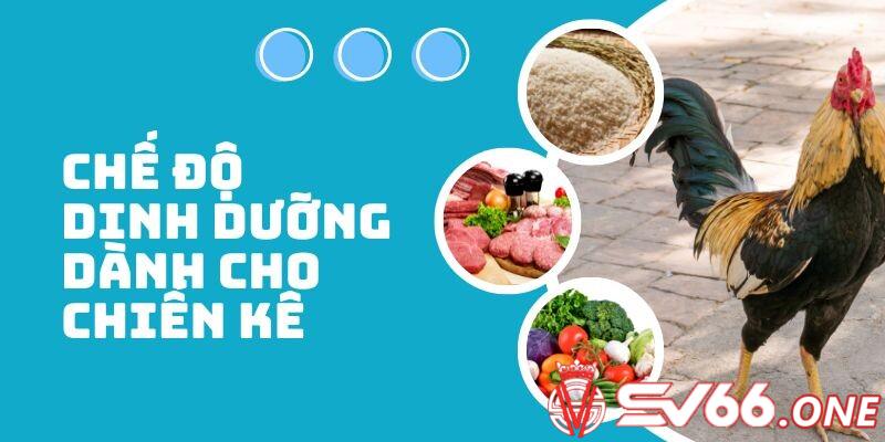 Ghi nhớ ngay công thức liên quan đến chế độ dinh dưỡng