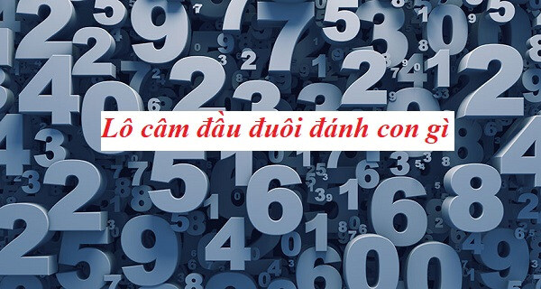 Lô đầu câm đánh con gì mang lại tỷ lệ thắng cao?